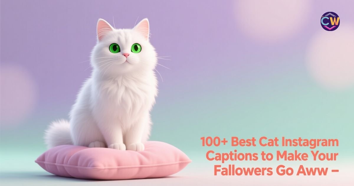 100-best-cat-instagram-captions-to-make-your-followers-go-aww
