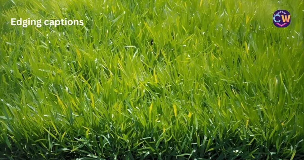 edging-captions