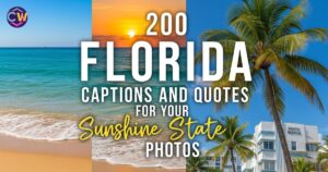 200-florida-captions-and-quotes-for-your-sunshine-state-photos
