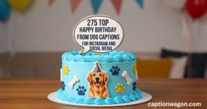 275-top-happy-birthday-from-dog-captions-for-instagram-and-social-media