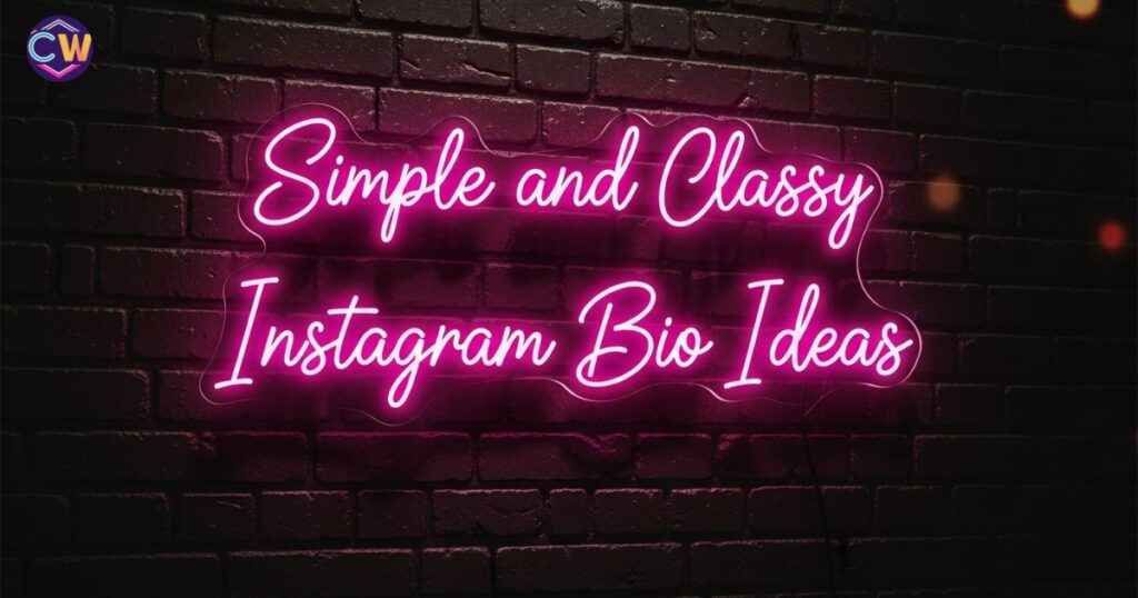 simple-and-classy-instagram-bio-ideas
